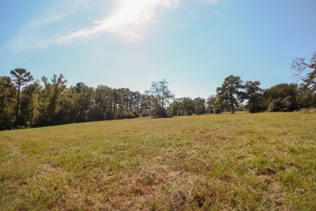 Barndominium on Acreage For Sale in Texas - image 32