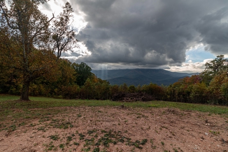 Long Range Mountain View - image 8