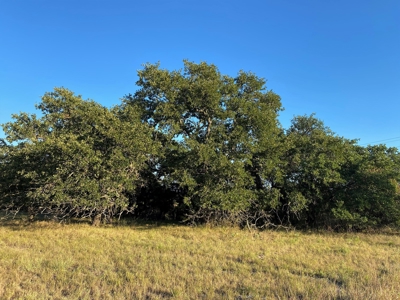 Resort Home lot 817 The Hideout at Lake Brownwood, TX - image 19