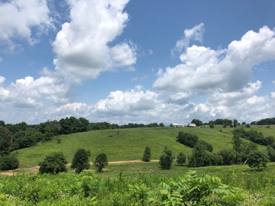 15 Acres Unrestricted Land For Sale in East TN - image 14