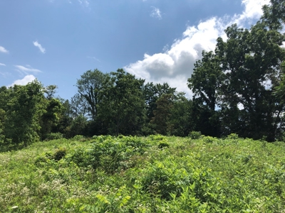 15 Acres Unrestricted Land For Sale in East TN - image 13