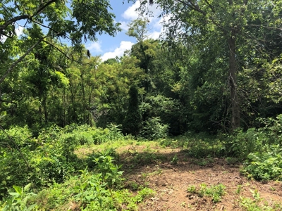 15 Acres Unrestricted Land For Sale in East TN - image 7