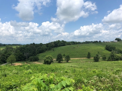 15 Acres Unrestricted Land For Sale in East TN - image 11