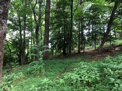 15 Acres Unrestricted Land For Sale in East TN - image 8