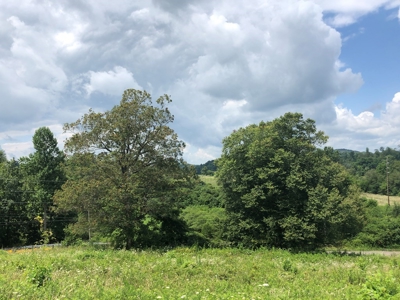 15 Acres Unrestricted Land For Sale in East TN - image 16