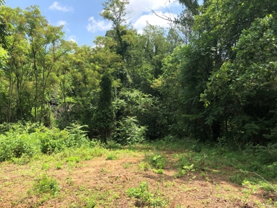 15 Acres Unrestricted Land For Sale in East TN - image 6