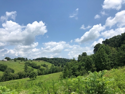 15 Acres Unrestricted Land For Sale in East TN - image 15