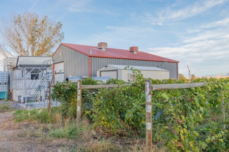 Colorado Whitewater Hill Vineyards and Winery For Sale - image 23