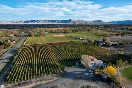 Colorado Whitewater Hill Vineyards and Winery For Sale - image 8