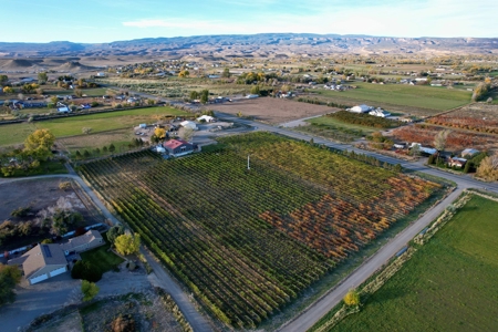 Colorado Whitewater Hill Vineyards and Winery For Sale - image 4