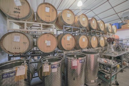 Colorado Whitewater Hill Vineyards and Winery For Sale - image 33