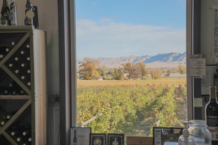 Colorado Whitewater Hill Vineyards and Winery For Sale - image 35