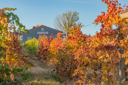 Colorado Whitewater Hill Vineyards and Winery For Sale - image 20