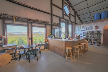 Colorado Whitewater Hill Vineyards and Winery For Sale - image 27