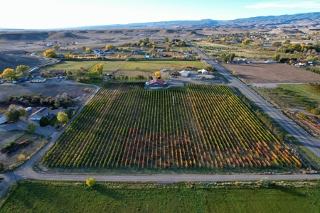 Colorado Whitewater Hill Vineyards and Winery For Sale - image 5