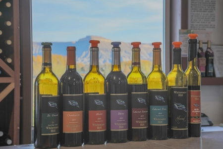 Colorado Whitewater Hill Vineyards and Winery For Sale - image 28
