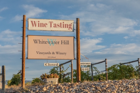 Colorado Whitewater Hill Vineyards and Winery For Sale - image 15