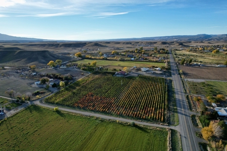 Colorado Whitewater Hill Vineyards and Winery For Sale - image 6