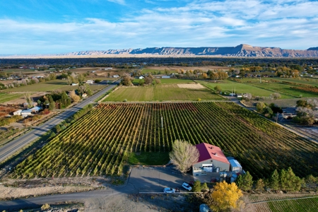 Colorado Whitewater Hill Vineyards and Winery For Sale - image 1