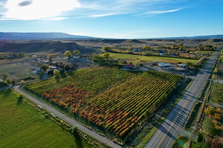 Colorado Whitewater Hill Vineyards and Winery For Sale - image 7