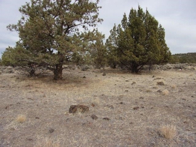 1.49 Acres of Rural Country Land For Sale in Northern CA - image 4