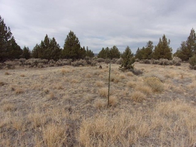 1.49 Acres of Rural Country Land For Sale in Northern CA - image 6