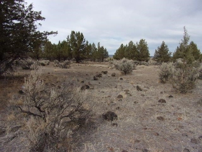 1.49 Acres of Rural Country Land For Sale in Northern CA - image 1