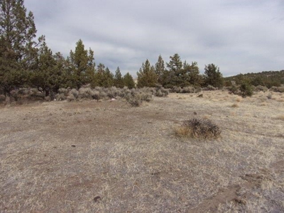 1.49 Acres of Rural Country Land For Sale in Northern CA - image 5