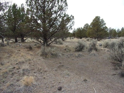 1.49 Acres of Rural Country Land For Sale in Northern CA - image 3