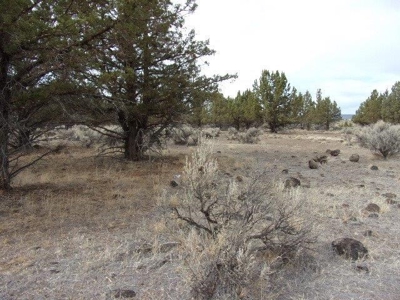 1.49 Acres of Rural Country Land For Sale in Northern CA - image 2