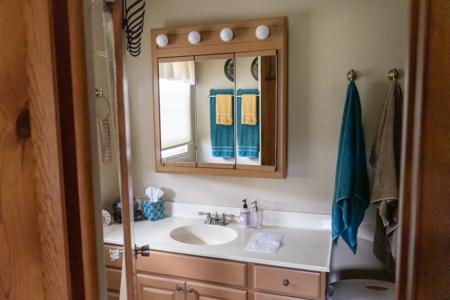 12 Acres with Horse Barn and Home in Decorah IA - image 14