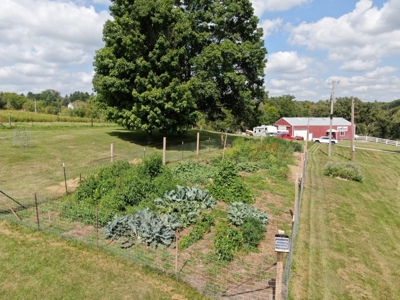 12 Acres with Horse Barn and Home in Decorah IA - image 38