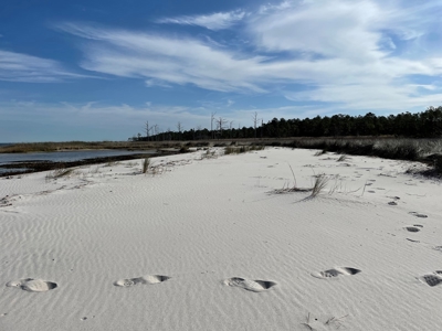 Waterfront Lot For Sale Beaufort NC - image 35