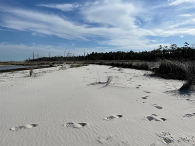 Waterfront Lot For Sale Beaufort NC - image 34