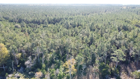 Waterfront Lot For Sale Beaufort NC - image 19