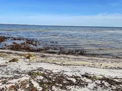 Waterfront Lot For Sale Beaufort NC - image 39