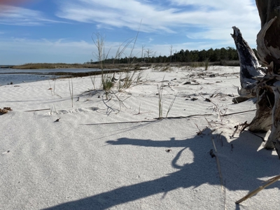 Waterfront Lot For Sale Beaufort NC - image 37