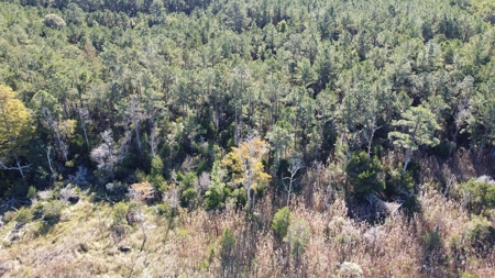 Waterfront Lot For Sale Beaufort NC - image 18