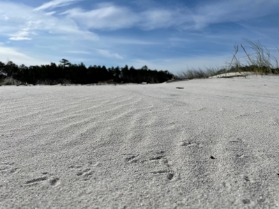 Waterfront Lot For Sale Beaufort NC - image 42
