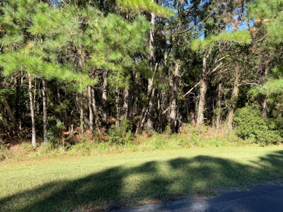 Waterfront Lot For Sale Beaufort NC - image 9