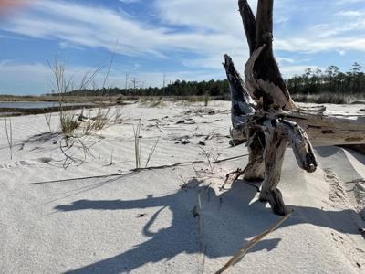 Waterfront Lot For Sale Beaufort NC - image 36