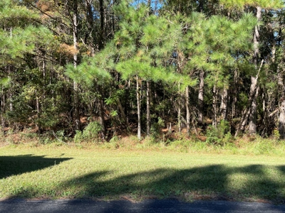 Waterfront Lot For Sale Beaufort NC - image 8
