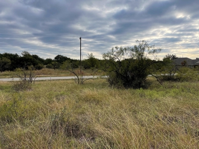 Resort Home Lot 890 King's Point Cove at Lake Brownwood, TX - image 26
