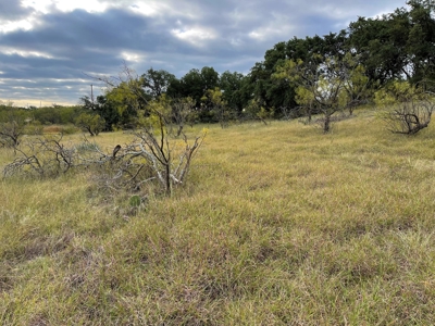 Resort Home Lot 890 King's Point Cove at Lake Brownwood, TX - image 29