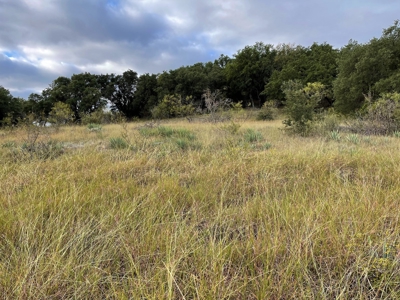 Resort Home Lot 890 King's Point Cove at Lake Brownwood, TX - image 30