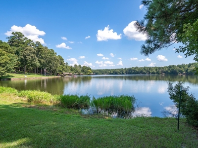 East Texas Lakefront Acreage Holly Lake Ranch One Of A Kind - image 3