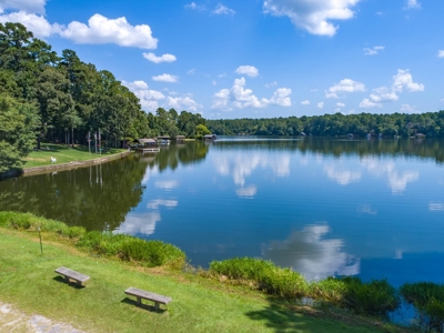 East Texas Lakefront Acreage Holly Lake Ranch One Of A Kind - image 4