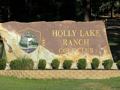 East Texas Lakefront Acreage Holly Lake Ranch One Of A Kind - image 25