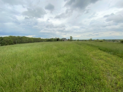 Historic Home - Beautiful Farm - Great Location in Missouri - image 4