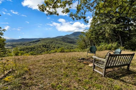 Auction! 166+/- Mountain Top Acres - image 6
